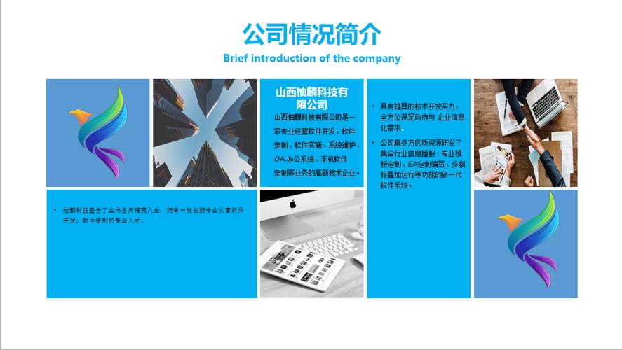 技术咨询与网络信息服务 业务范围解析